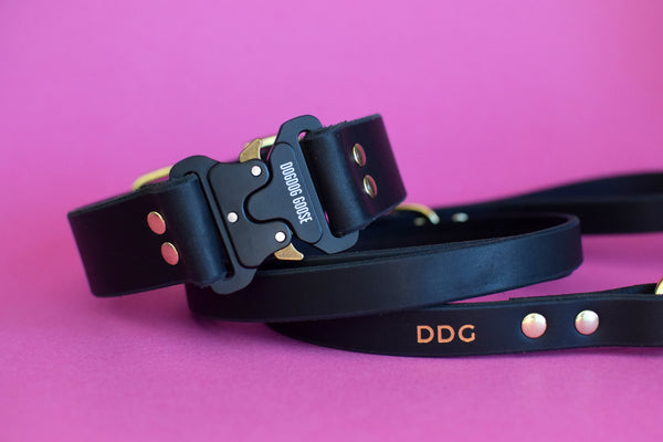 EXCLUSIVE LEATHER COLLECTION - Ebony Tactical QR Leather Collar