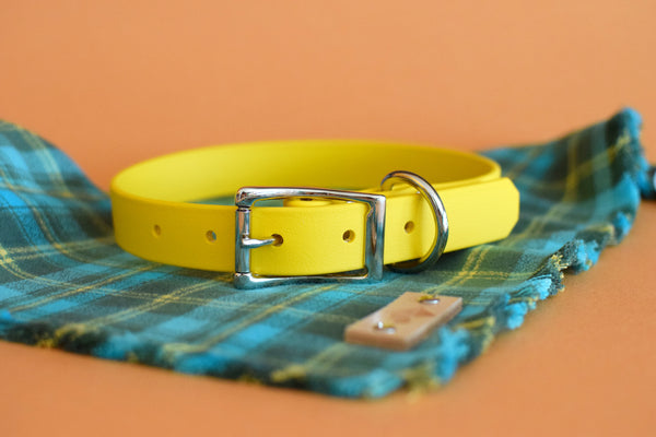 PREMADE COLLECTION - Yellow & Nickel Biothane Dog Collar