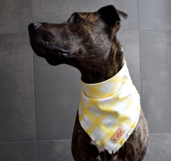 LIMONCELLO Fringed Flannel Dog Bandana - Snap/Tie On Cotton Scarf