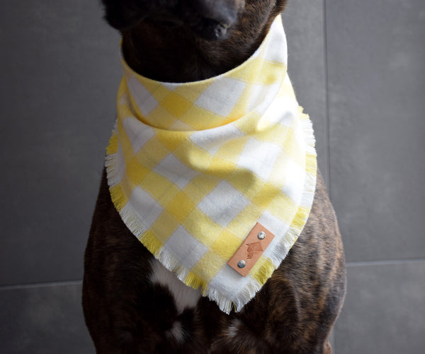 LIMONCELLO Fringed Flannel Dog Bandana - Snap/Tie On Cotton Scarf