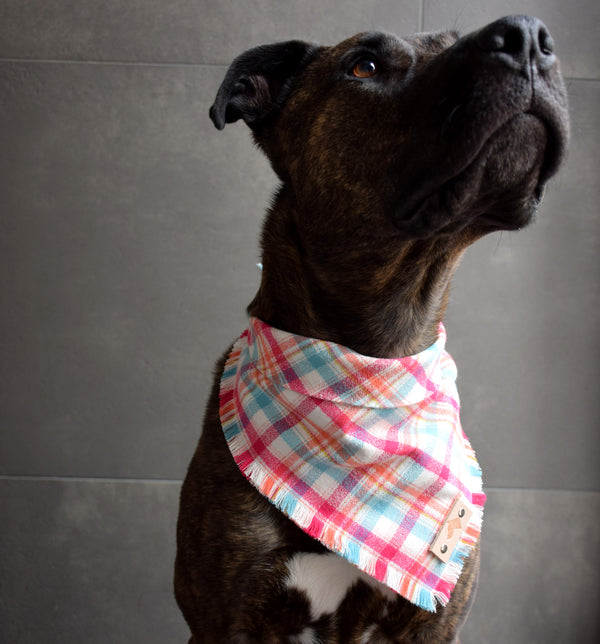 TEQUILA SUNRISE Fringed Flannel Dog Bandana - Snap/Tie On Cotton Scarf