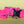 Load image into Gallery viewer, PREMADE COLLECTION - Fuchsia &amp; Brass Biothane Dog Collar
