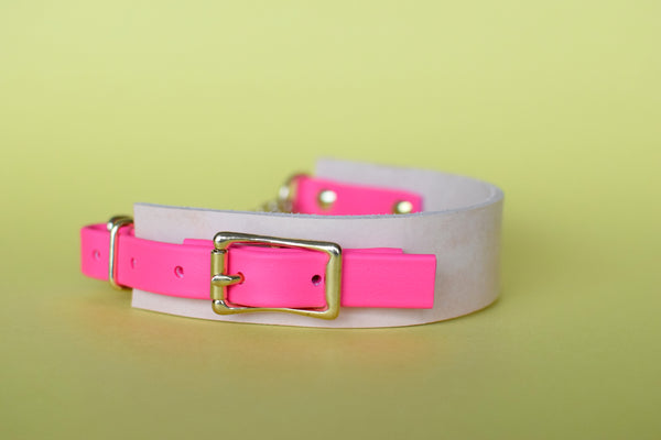 EXCLUSIVE LEATHER COLLECTION - Natural Tan & Fuchsia, Limited Edition Biothane and Leather Combo Martingale Dog Collar