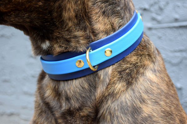 PREMADE COLLECTION - Navy & Sky Blue Biothane Dog Collar