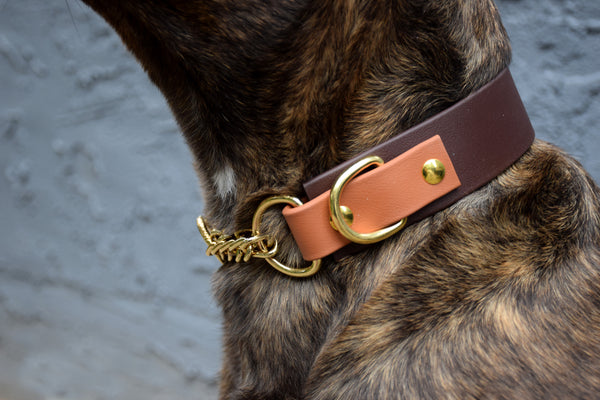 Design Your Own - The Hornburg BT Collar, Adjustable Heavy Duty Wide Biothane Martingale Dog Collar