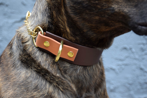 Design Your Own - The Hornburg BT Collar, Adjustable Heavy Duty Wide Biothane Martingale Dog Collar