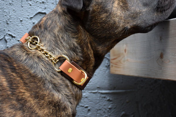 Design Your Own - The Hornburg BT Collar, Adjustable Heavy Duty Wide Biothane Martingale Dog Collar