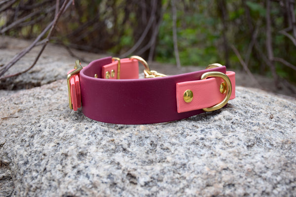 Design Your Own - The Hornburg BT Collar, Adjustable Heavy Duty Wide Biothane Martingale Dog Collar