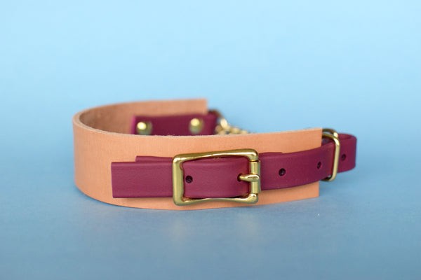 EXCLUSIVE LEATHER COLLECTION - Natural Tan & Burgundy Wine, Limited Edition Biothane and Leather Combo Martingale Dog Collar
