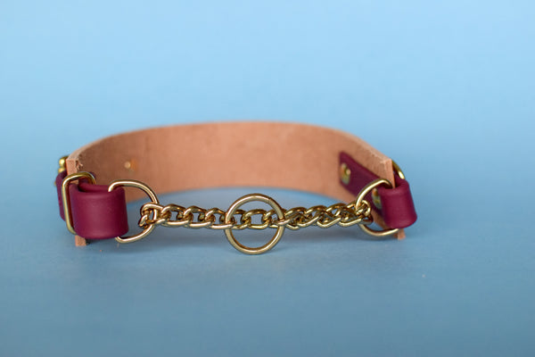 EXCLUSIVE LEATHER COLLECTION - Natural Tan & Burgundy Wine, Limited Edition Biothane and Leather Combo Martingale Dog Collar