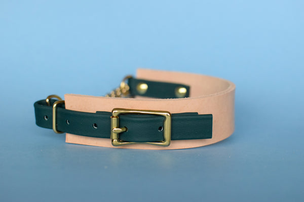EXCLUSIVE LEATHER COLLECTION - Natural Tan & Forest, Limited Edition Biothane and Leather Combo Martingale Dog Collar