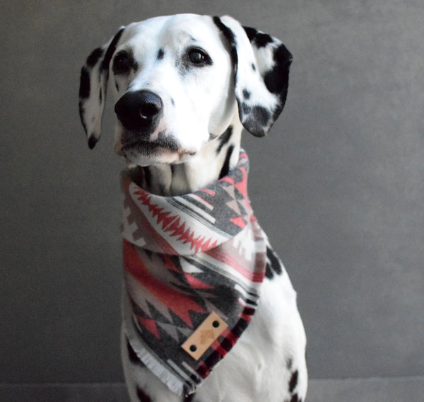 SHALE Luxe Fringed Flannel Dog Bandana - Snap/Tie On Cotton Scarf