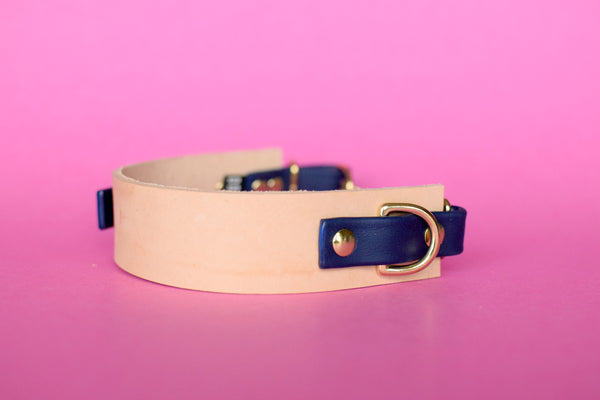 EXCLUSIVE LEATHER COLLECTION - Natural Tan & Navy, Limited Edition Biothane and Leather Combo Martingale Dog Collar
