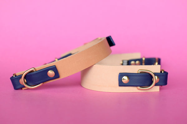 EXCLUSIVE LEATHER COLLECTION - Natural Tan & Navy, Limited Edition Biothane and Leather Combo Martingale Dog Collar