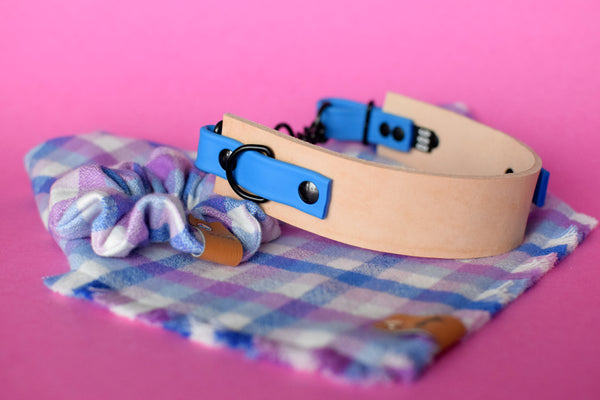 EXCLUSIVE LEATHER COLLECTION - Natural Tan & Sky Blue, Limited Edition Biothane and Leather Combo Martingale Dog Collar