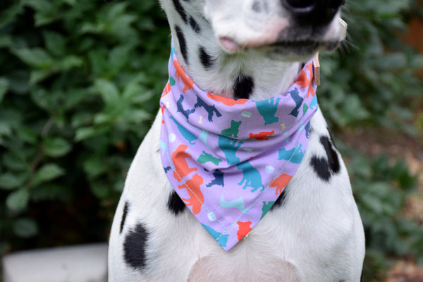 Dog Bandana - "Doggy Confetti" Artisan Series Cotton Dog Scarf, Craftsturbator//Sibina Fisher