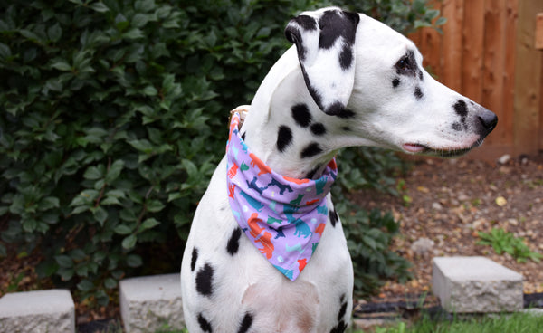 Dog Bandana - "Doggy Confetti" Artisan Series Cotton Dog Scarf, Craftsturbator//Sibina Fisher