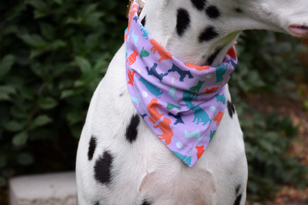 Dog Bandana - "Doggy Confetti" Artisan Series Cotton Dog Scarf, Craftsturbator//Sibina Fisher