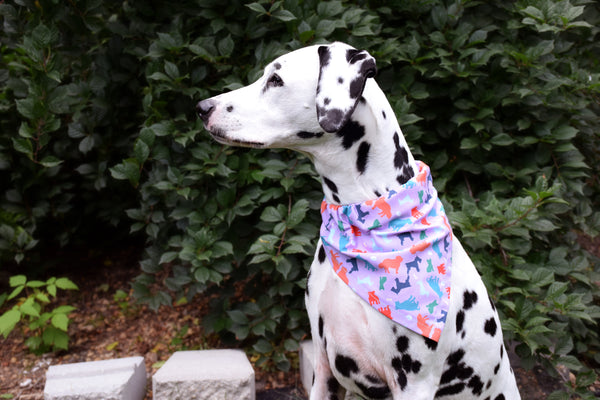Dog Bandana - "Doggy Confetti" Artisan Series Cotton Dog Scarf, Craftsturbator//Sibina Fisher