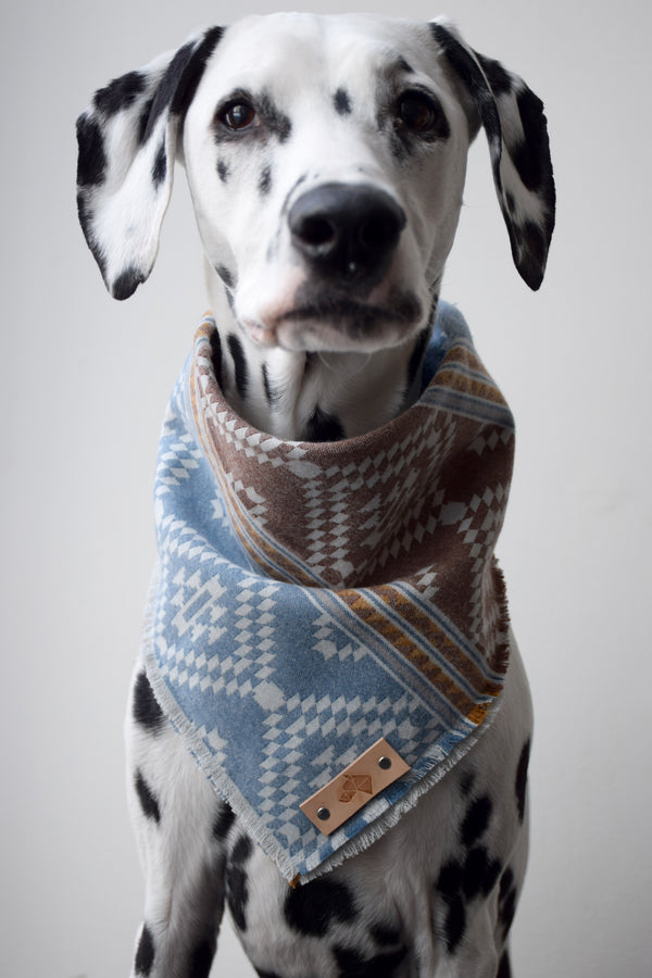 TERRACOTTA Luxe Fringed Flannel Dog Bandana - Snap/Tie On Cotton Scarf
