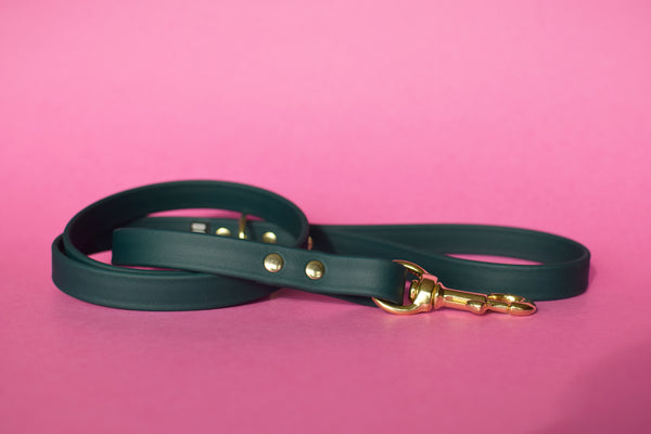 PREMADE COLLECTION - Forest & Brass Biothane Dog Leash
