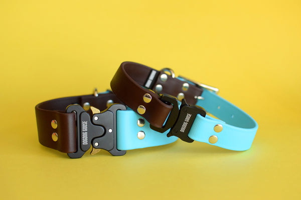PREMADE COLLECTION - Chocolate & Baby Blue with Nickel Biothane Dog Collar