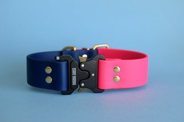 PREMADE COLLECTION - Navy & Fuchsia with Brass Biothane Dog Collar