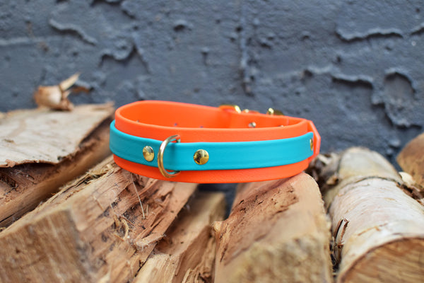 PREMADE COLLECTION - Hot Orange & Teal Biothane Dog Collar