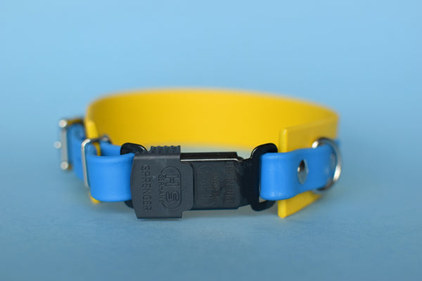 PREMADE COLLECTION - Yellow & Sky Blue Osgiliath Biothane Dog Collar