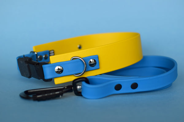 PREMADE COLLECTION - Yellow & Sky Blue Osgiliath Biothane Dog Collar
