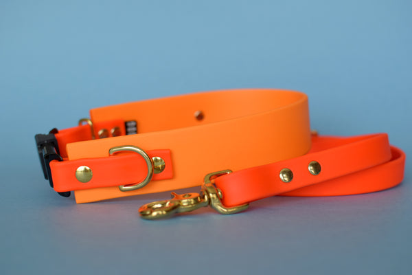 PREMADE COLLECTION - Mango & Hot Orange Osgiliath Biothane Dog Collar