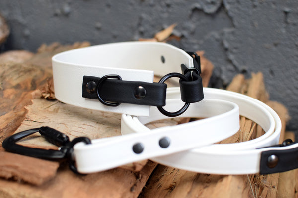 LUCI COLLECTION - White & Black Osgiliath Biothane Dog Collar