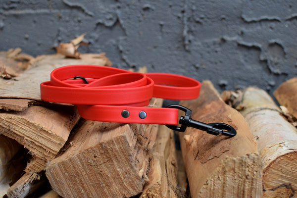 LUCI COLLECTION - Red & Black Biothane Dog Leash