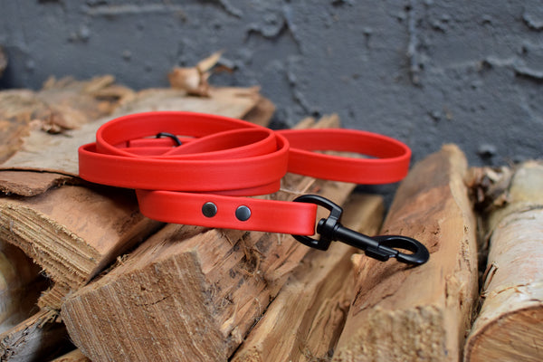 LUCI COLLECTION - Red & Black Biothane Dog Leash