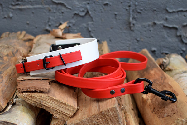 LUCI COLLECTION - Red & Black Biothane Dog Leash