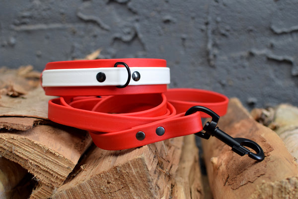 LUCI COLLECTION - Red & Black Biothane Dog Leash