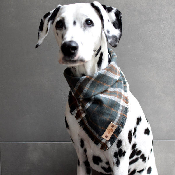 OREGANO Fringed Flannel Dog Bandana - Snap/Tie On Cotton Scarf