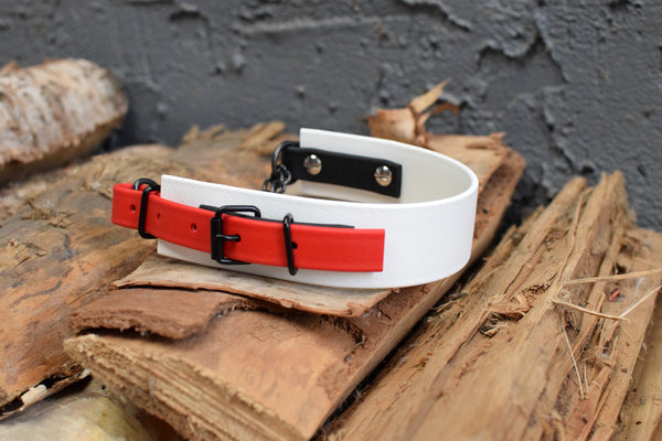 LUCI COLLECTION - White, Black & Red Biothane Martingale Dog Collar