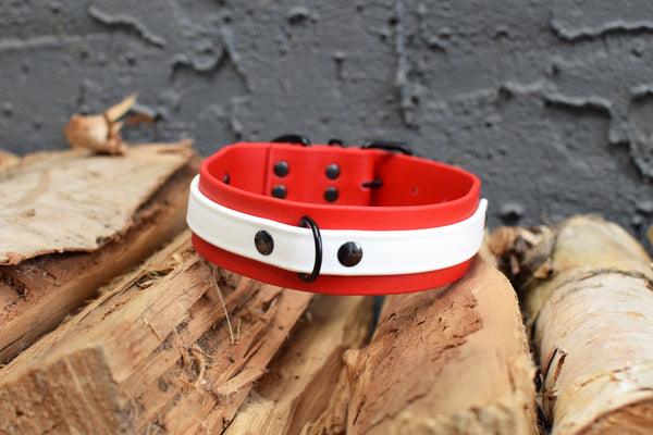 LUCI COLLECTION - Red & White Biothane Dog Collar