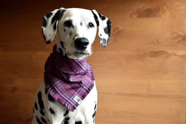 LUPINE Fringed Flannel Dog Bandana - Snap/Tie On Cotton Scarf