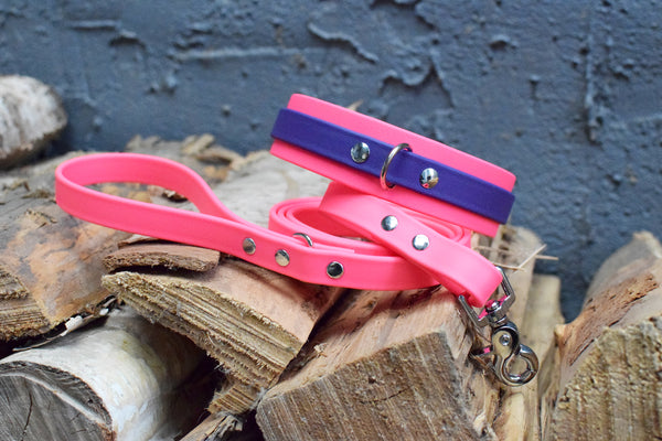 PREMADE COLLECTION - Hot Pink & Purple Biothane Dog Collar