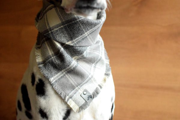 ASH Fringed Flannel Dog Bandana - Snap/Tie On Cotton Scarf