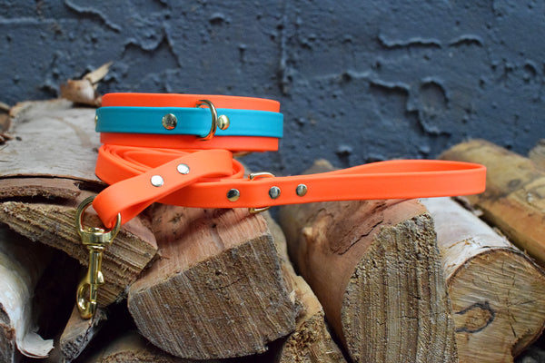 PREMADE COLLECTION - Hot Orange & Teal Biothane Dog Collar