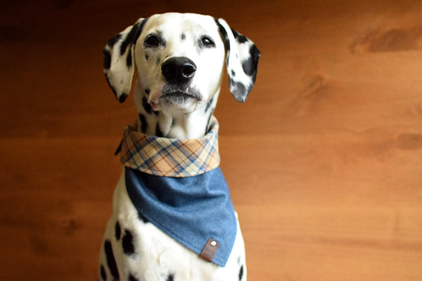 CABALLO Reversible Cotton Dog Bandana - Snap/Tie On Cotton Scarf