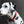 Load image into Gallery viewer, LUCI COLLECTION - White, Black &amp; Red Biothane Martingale Dog Collar
