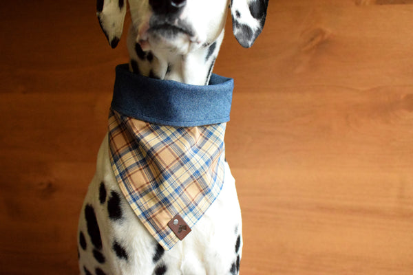CABALLO Reversible Cotton Dog Bandana - Snap/Tie On Cotton Scarf