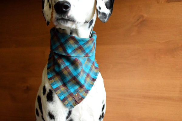 EVERGREEN Fringed Flannel Dog Bandana - Snap/Tie On Cotton Scarf