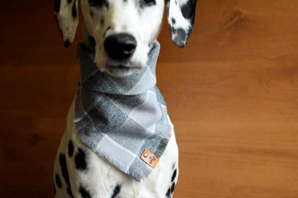 SLATE Fringed Flannel Dog Bandana - Snap/Tie On Cotton Scarf
