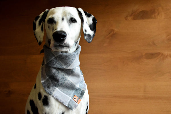 SLATE Fringed Flannel Dog Bandana - Snap/Tie On Cotton Scarf