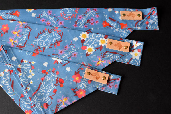 Dog Bandana - Home Town Cotton Dog Scarf